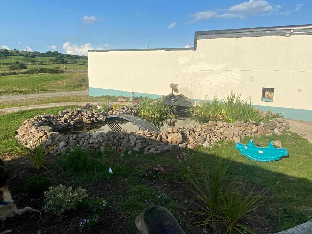 Farm Pets And Families Welcome * Rossnowlagh