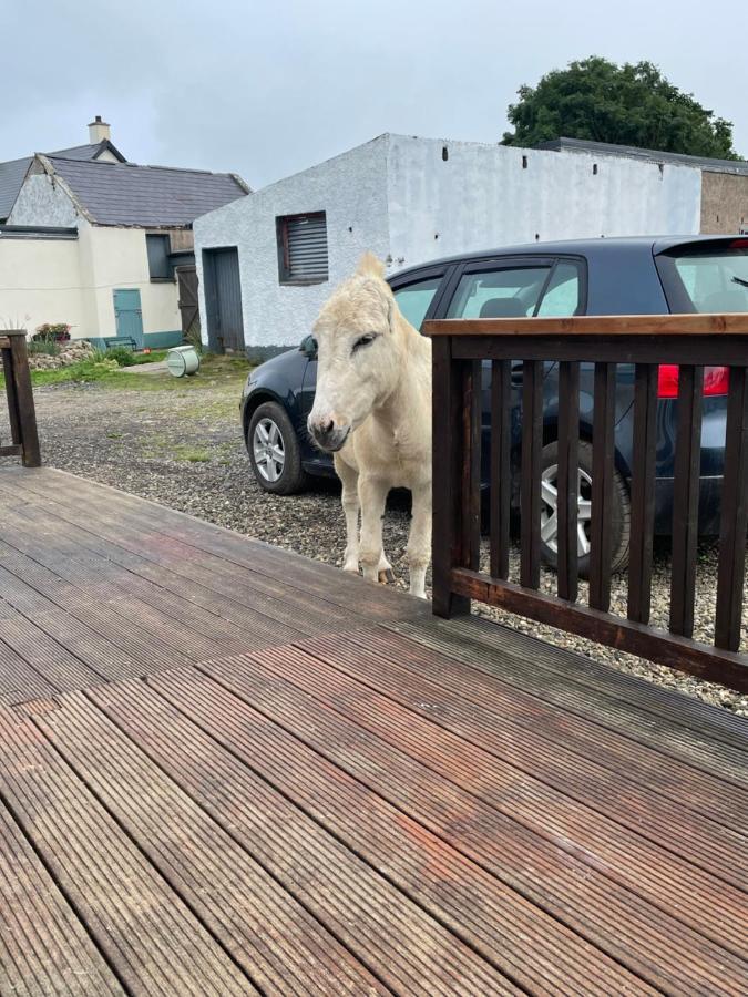 Farm Pets And Families Welcome